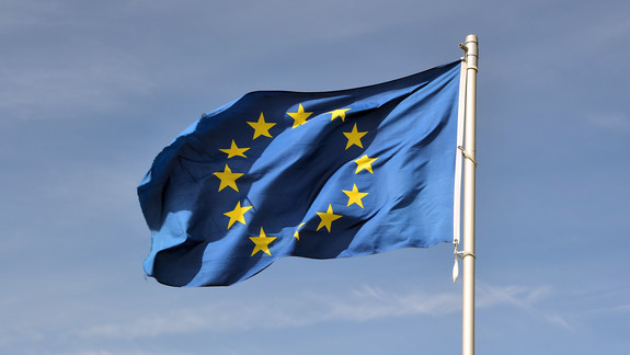 Aktuelles aus dem Herzen der EU #Januar 2025 - die AG Europa informiert.