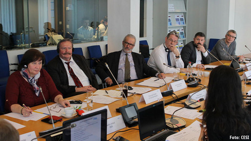 CESI Berufsrat Justiz CESI Berufsrat Justiz