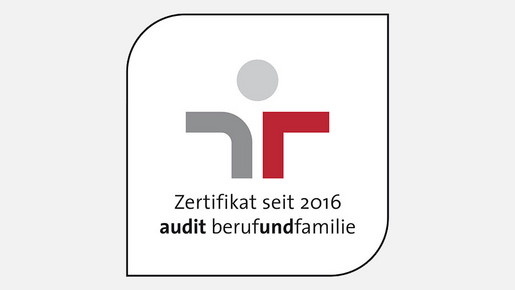 160623 audit berufundfamilie logo