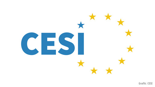 Belgisches Verfassungsgericht stärkt Rechte unabhängiger Gewerkschaften Belgisches Verfassungsgericht stärkt Rechte unabhängiger Gewerkschaften