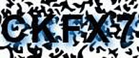 grafischer Sicherheitscode