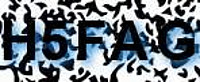 grafischer Sicherheitscode