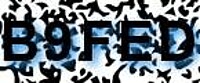 grafischer Sicherheitscode