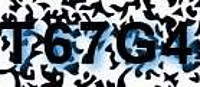 grafischer Sicherheitscode