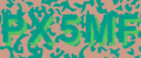 grafischer Sicherheitscode