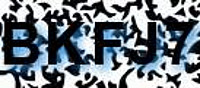 grafischer Sicherheitscode