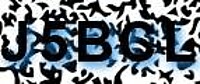 grafischer Sicherheitscode
