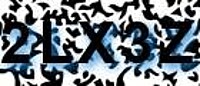 grafischer Sicherheitscode