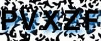 grafischer Sicherheitscode