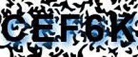 grafischer Sicherheitscode