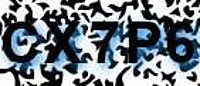 grafischer Sicherheitscode