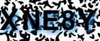 grafischer Sicherheitscode