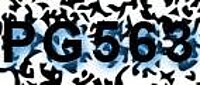 grafischer Sicherheitscode