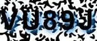 grafischer Sicherheitscode