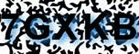 grafischer Sicherheitscode