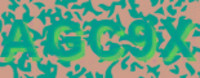 grafischer Sicherheitscode