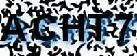 grafischer Sicherheitscode