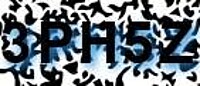 grafischer Sicherheitscode