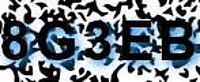 grafischer Sicherheitscode