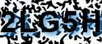 grafischer Sicherheitscode