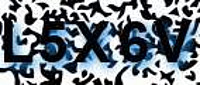 grafischer Sicherheitscode