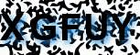 grafischer Sicherheitscode