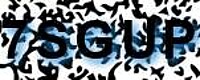 grafischer Sicherheitscode