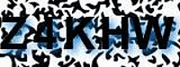grafischer Sicherheitscode