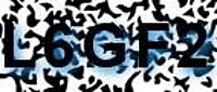 grafischer Sicherheitscode