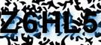 grafischer Sicherheitscode