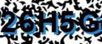 grafischer Sicherheitscode