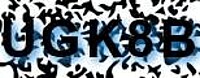 grafischer Sicherheitscode