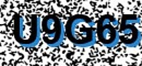 grafischer Sicherheitscode