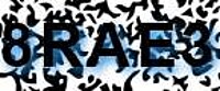grafischer Sicherheitscode
