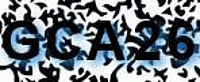 grafischer Sicherheitscode