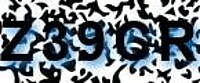 grafischer Sicherheitscode