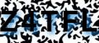 grafischer Sicherheitscode