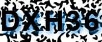 grafischer Sicherheitscode