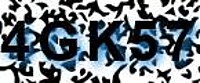 grafischer Sicherheitscode