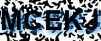 grafischer Sicherheitscode