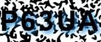 grafischer Sicherheitscode