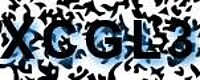 grafischer Sicherheitscode