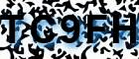 grafischer Sicherheitscode