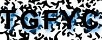 grafischer Sicherheitscode