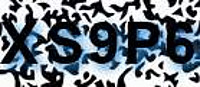 grafischer Sicherheitscode