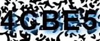 grafischer Sicherheitscode