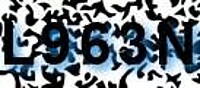 grafischer Sicherheitscode