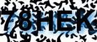 grafischer Sicherheitscode