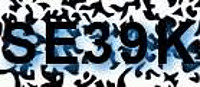 grafischer Sicherheitscode