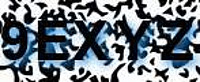 grafischer Sicherheitscode
